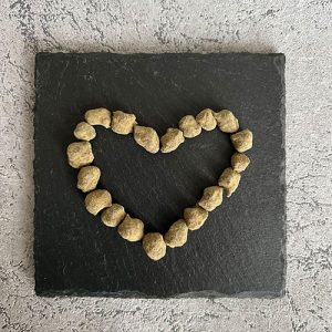Co jsou Moon Rocks – a co je dělá tak výjimečnými?