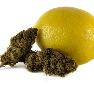 CBD Květy Super Lemon Haze PREMIUM 1