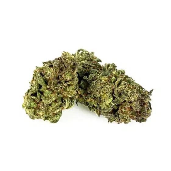 15% CBG/CBD květy White Rhino 1