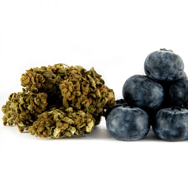 CBD Květy Blueberry 1