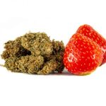 CBD květy Strawberry 1