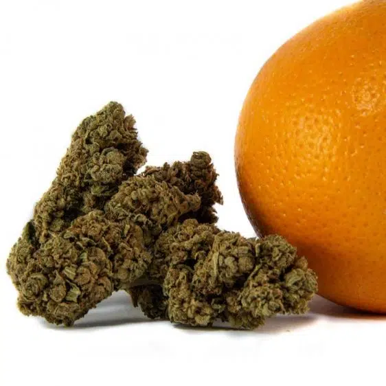 CBD Květy Orange Bud 1