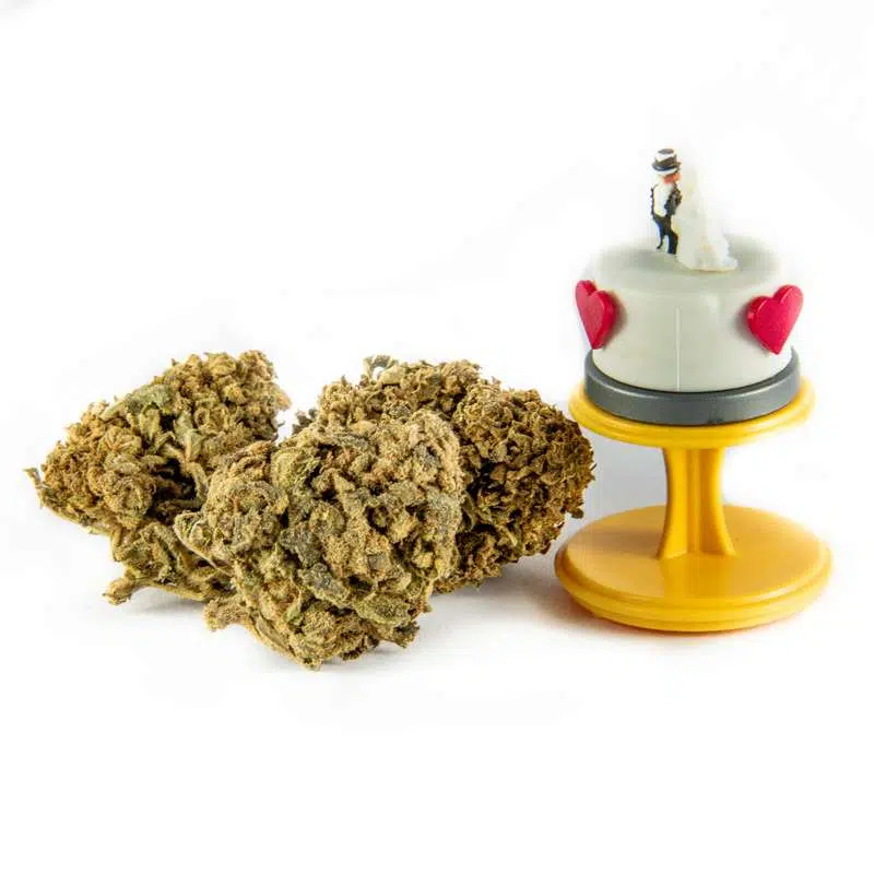 CBD Květy Wedding Cake PREMIUM 1