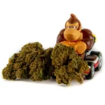 15% HIGH CBD Květy Gorilla Glue 15% HIGH CBD květy Gorilla Glue 1 1