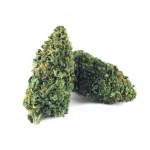 B090-000V-0.jpg Amnesia Haze PREMIUM CBD květy Amnesia Haze PREMIUM CBD květy CBD-amnesia-haze-premium 1 1