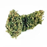 B092-000V-0.jpg Blue Dream PREMIUM CBD květy Blue Dream PREMIUM CBD Květy CBD-blue-dream-premium 1 1