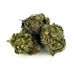 15% HIGH CBD květy Erdbeerli 15% HIGH CBD květy Erdbeerli 1 1
