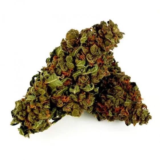 B098-000V-0.jpg Lemon Diesel CBD květy Lemon Diesel CBD květy CBD-lemon-diesel-premium 1 1