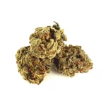 15% HIGH CBD Květy Banana Kush 15% HIGH CBD Květy Banana Kush high-cbd-blueten-banana-kush 1 1