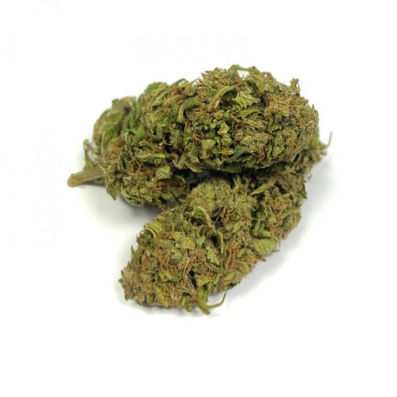B113-000V-0.jpg CBN květy Jack Herer CBN květy Jack Herer 1 1