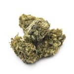 15% CBD květy Bubble Gum s vysokým obsahem CBD 15% High CBD Květy Bubble Gum 1 2